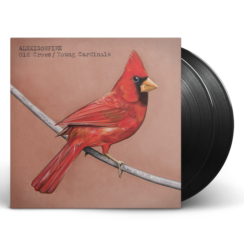 Old Crows / Young Cardinals 2x12" Vinyl (Black)